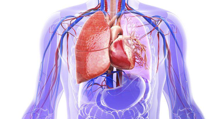 Cos'è un aneurisma aortico?