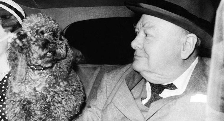 Chi era Winston Churchill e perché era famoso?