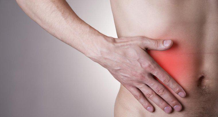 Quali sono i sintomi di appendicite negli adulti?