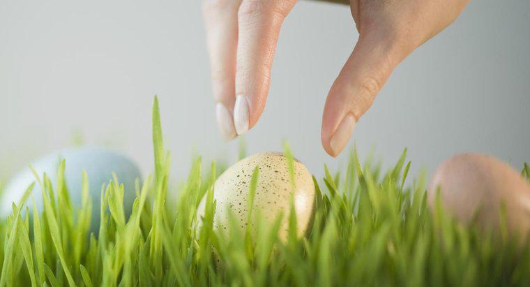 Quali sono alcune idee di caccia all'uovo di Pasqua per adulti?