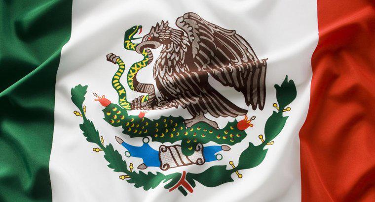 Che tipo di aquila è sulla bandiera messicana?