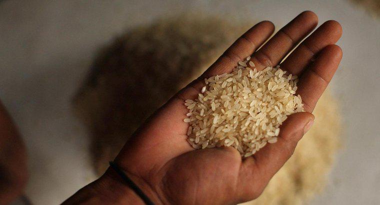 Quanto costa un singolo chicco di riso?