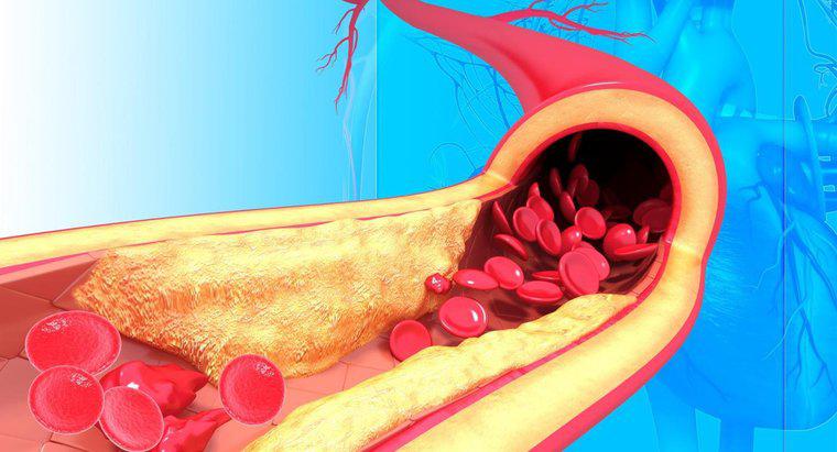 Qual è la struttura delle arterie?