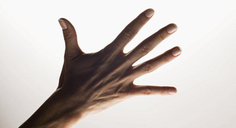 Quali sono i nomi delle cinque dita della mano?