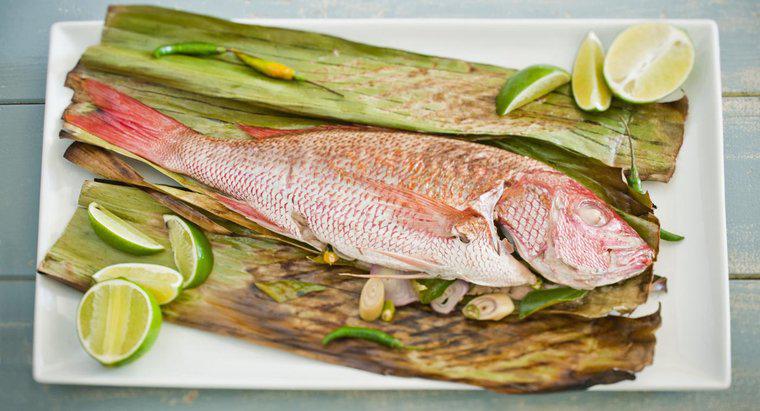 Come si fa a degustare meno pesce?