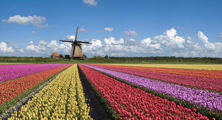 Per cosa sono famosi i Paesi Bassi?
