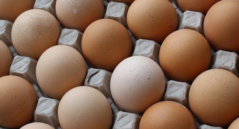 Qual è il valore nutrizionale di un uovo?