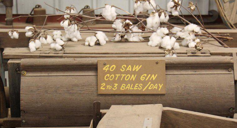 Cosa ha fatto il Cotton Gin?