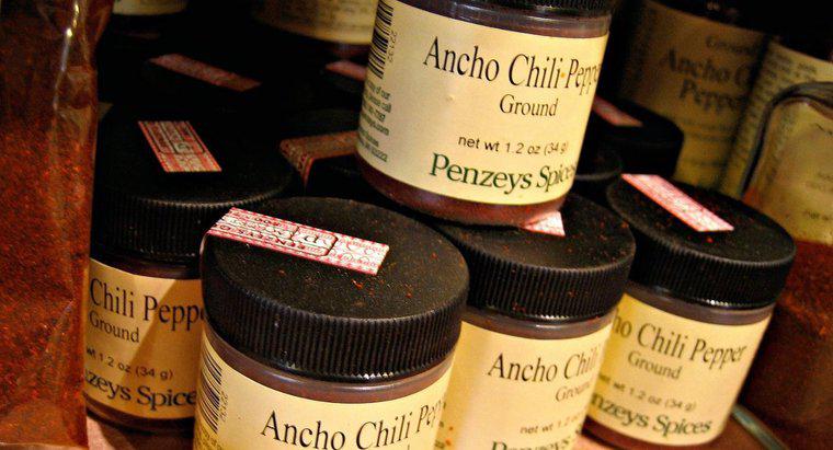 Che cosa è un buon sostituto per Ancho Chile Powder?
