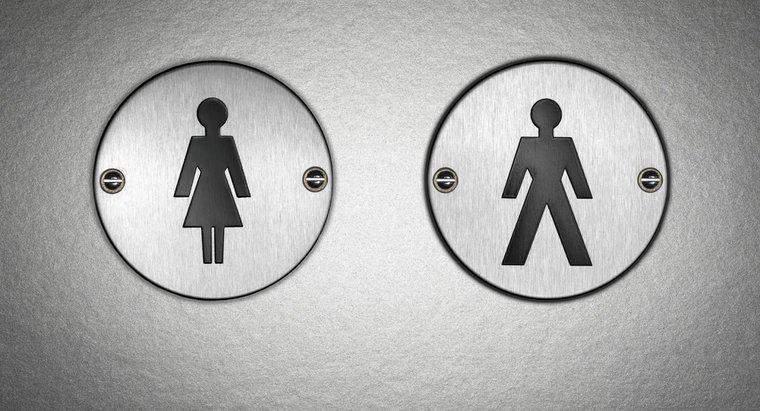 Puoi dire la differenza tra l'urina maschile e quella femminile?
