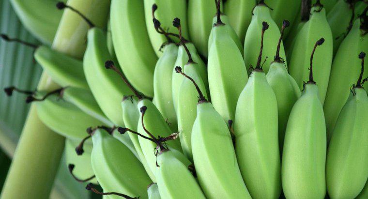 Quanto tempo impiega a maturare le banane?
