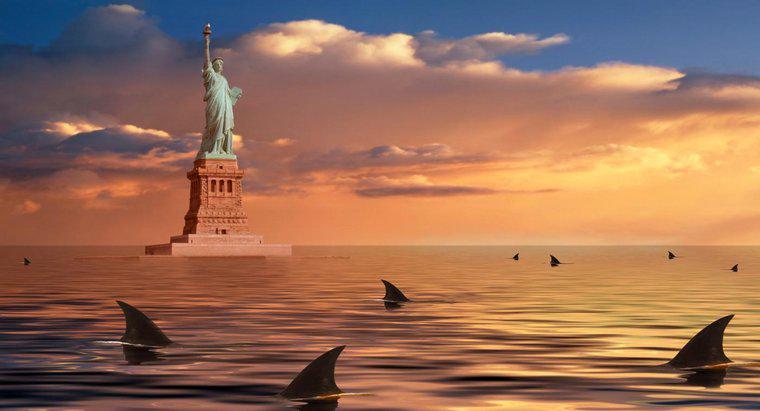 Quale morso più persone: squali o newyorkesi?
