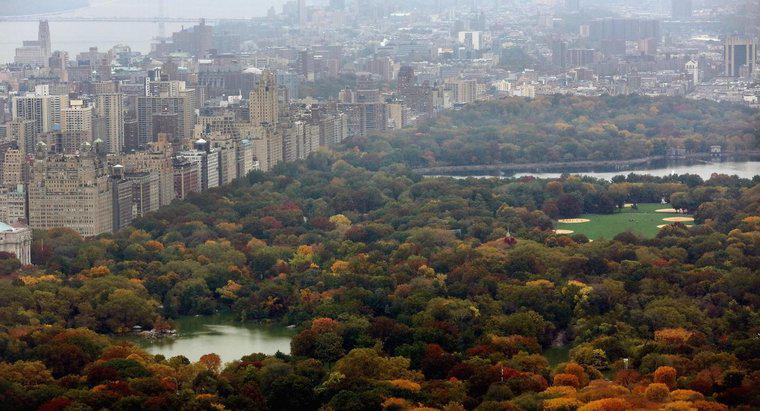 Qual è la dimensione di Central Park a New York?