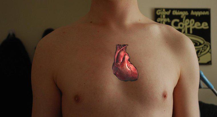 Perché il cuore è considerato una doppia pompa?