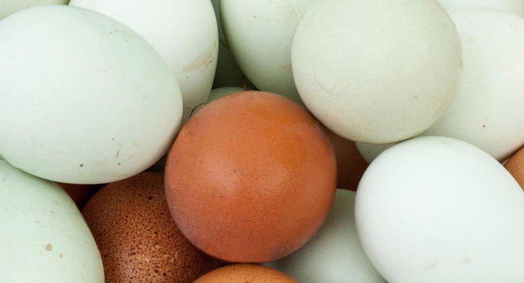 Qual è la superstizione sulla ricerca di un uovo insanguinato?