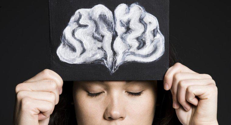 Qual è la funzione del lobo frontale del cervello?