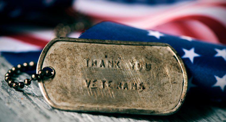 Vacanze 101: Perché festeggiamo il Veterans Day?