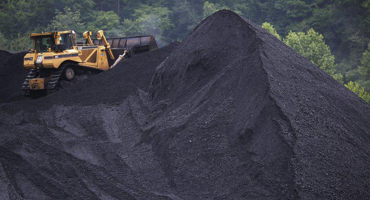 Quali sono i modi per conservare il carbone?
