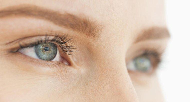 Quali sono le funzioni principali dell'occhio?