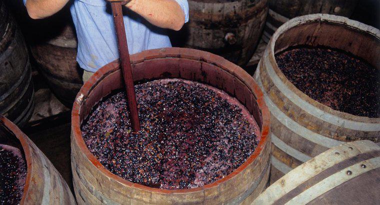 Quali sono i due principali tipi di fermentazione?