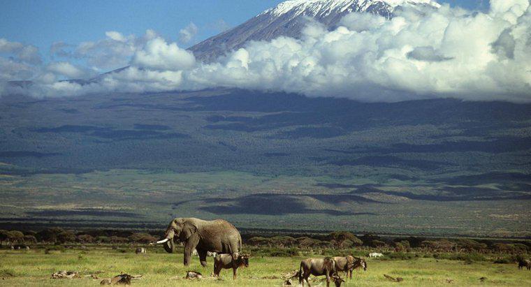 Come si è formato il Kilimangiaro?