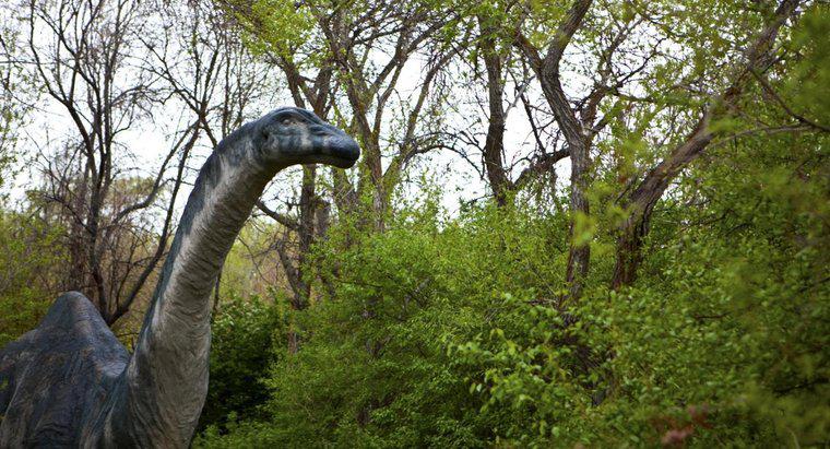 Perché il nome del brontosauro è cambiato nell'apatosauro?