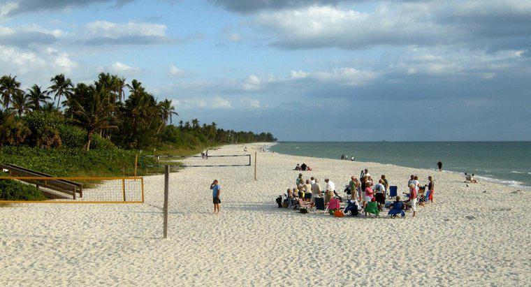 Quali sono le spiagge migliori della costa occidentale della Florida?