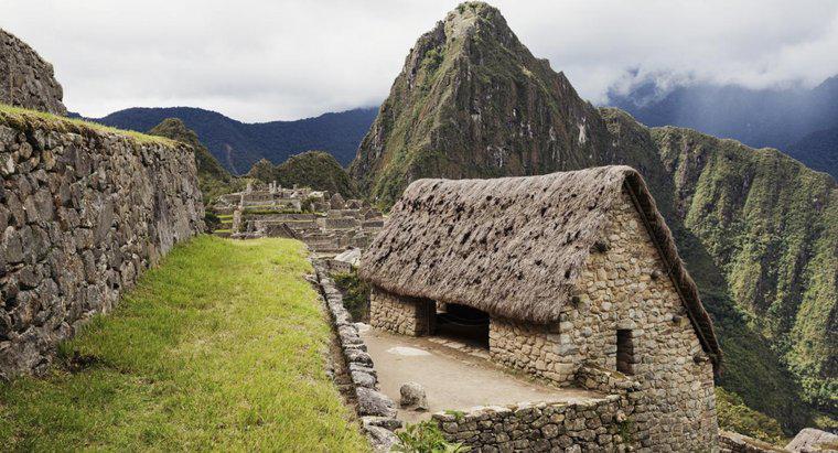 In che cosa hanno vissuto gli Incas?