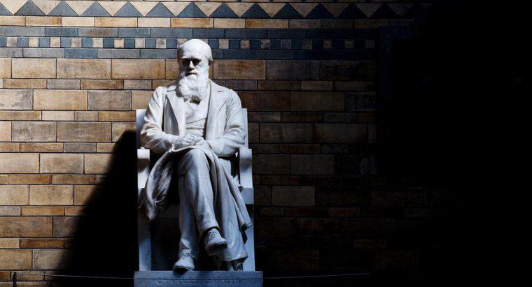 Per cosa è famoso Charles Darwin?