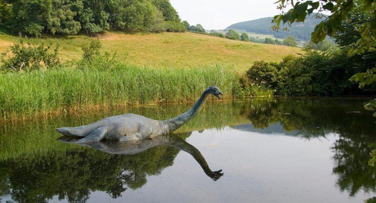 Dove vive il mostro di Loch Ness?