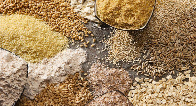 Qual è la differenza tra avena e grano?