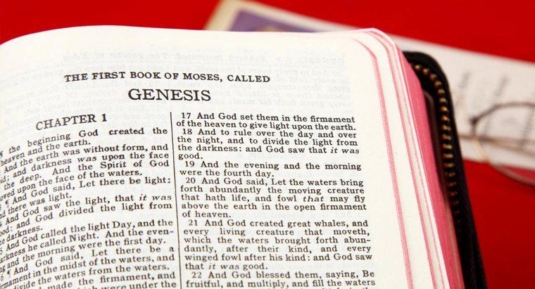 Quali sono i primi cinque libri della Bibbia?