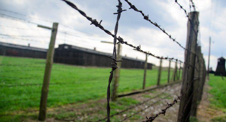 Quanto è durato l'olocausto?