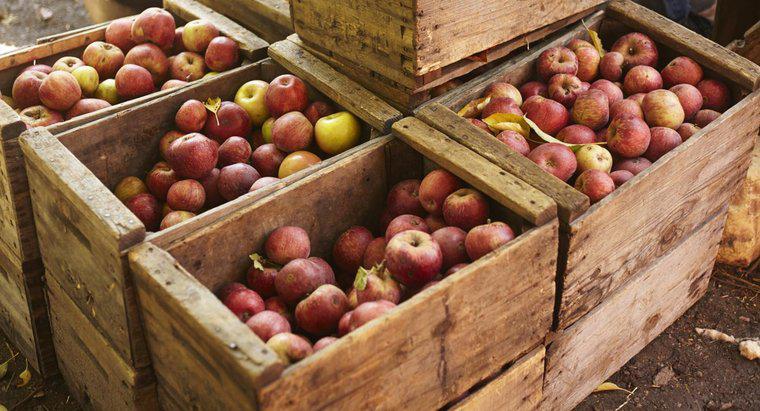 Quante sterline ci sono in un becco di mele?