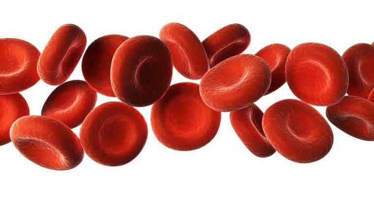 Quali sono le sei sostanze trasportate dal sangue?