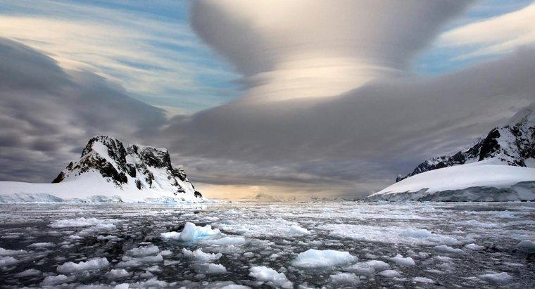 Qual è il fronte polare subpolare basso?