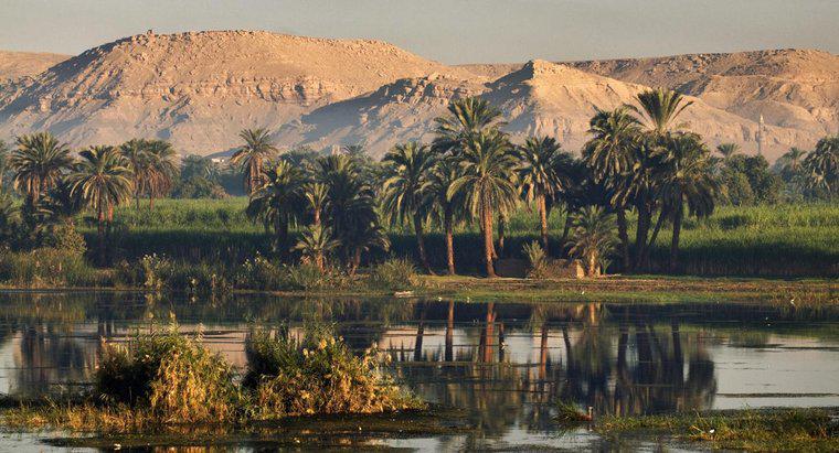 Dove vivevano la maggior parte degli antichi egizi?