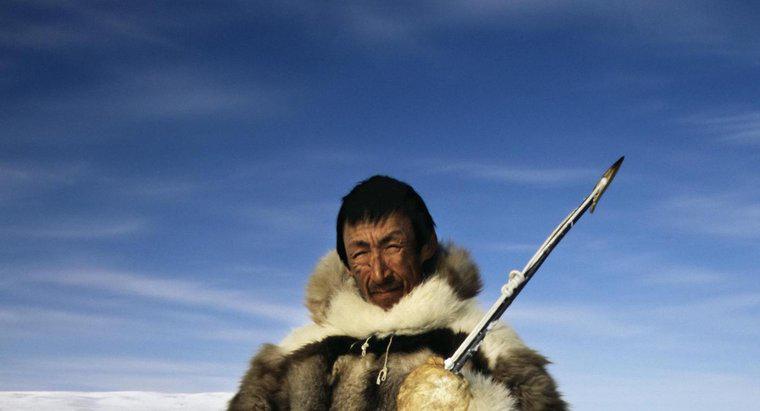 Cosa mangiano gli inuit?