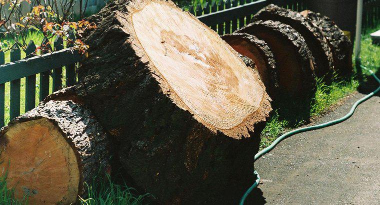 Per cosa viene utilizzato il legno di larice?