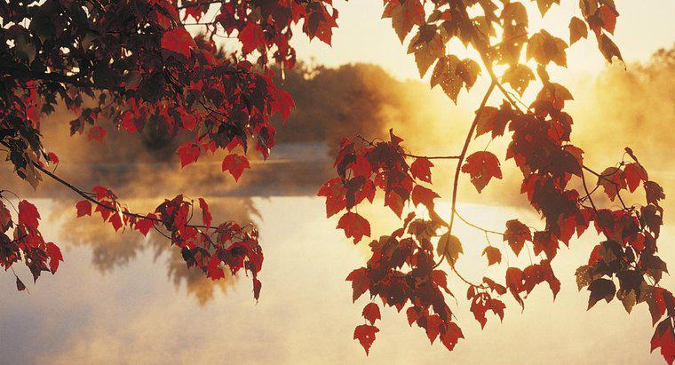 Quali mesi in Nord America sono considerati autunno?