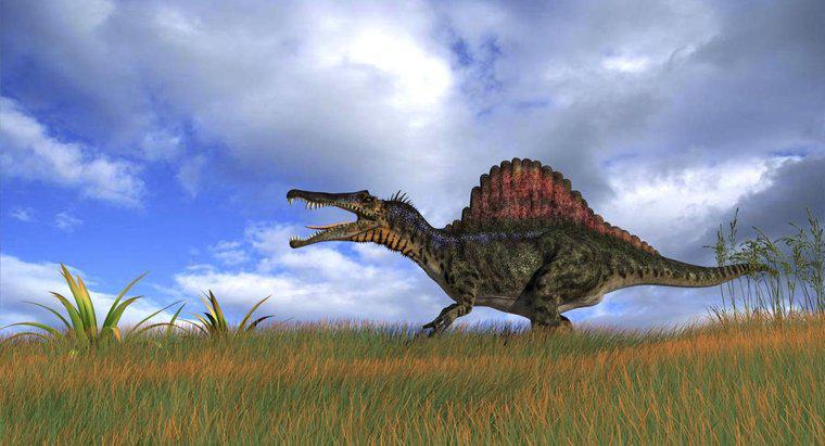 Qual è stato il più grande dinosauro carnivoro?