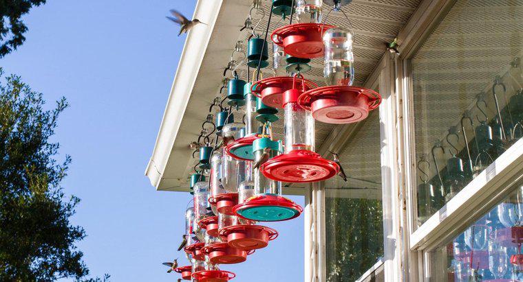 Come fai a tenere le api lontano da un alimentatore di colibrì?