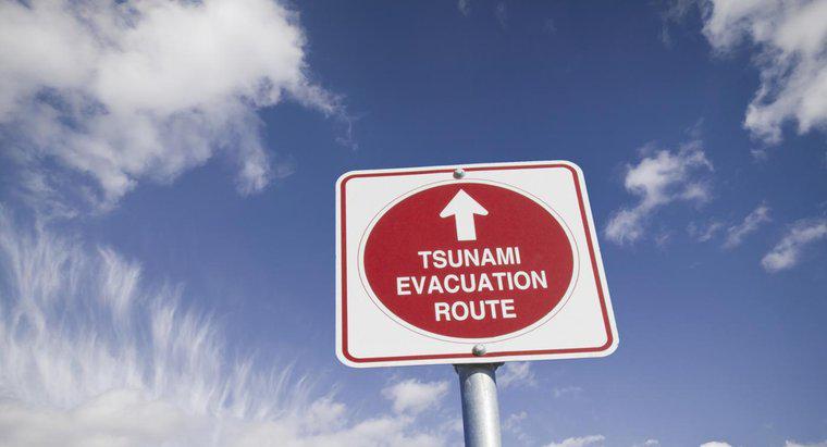 Come ti prepari per uno tsunami?