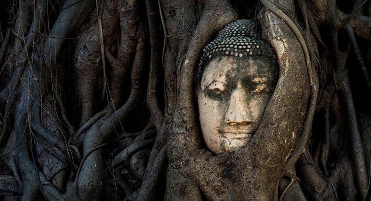 Qual è il significato del Buddha che piange?