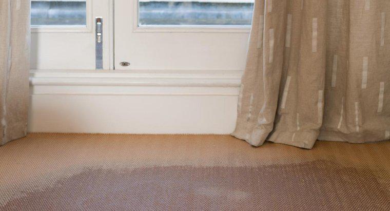 Come si rimuove l'odore di muffa dal tappeto?