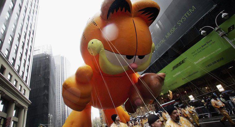 Quale razza di Cat Is Garfield?