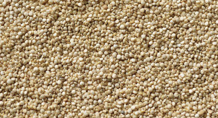 Qual è il contenuto di aminoacidi della quinoa?