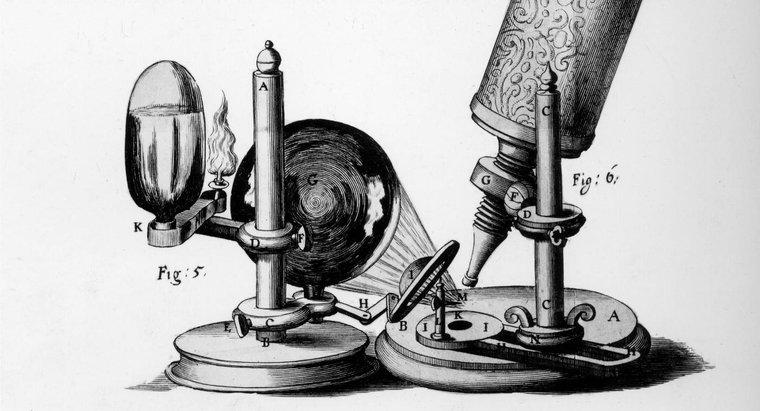 Qual è stato il contributo di Robert Hooke?