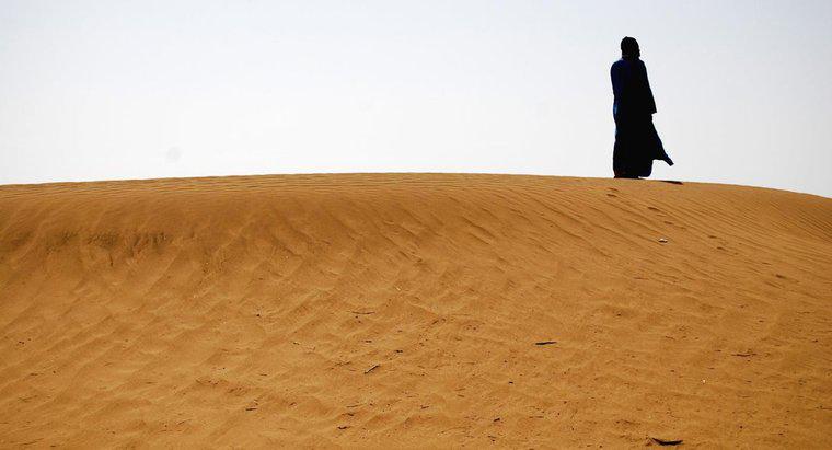 Quanto caldo può arrivare nel deserto del Sahara durante l'estate?
