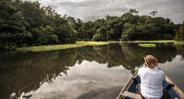Quanto è profonda l'Amazzonia?